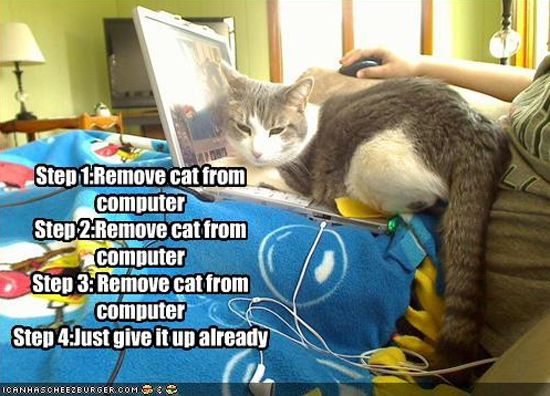 How Cats and Dogs are Playing with Computers?