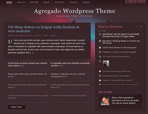 40+ Modern and Elegant Free WordPress Themes