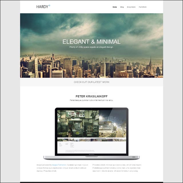 143+ Responsive WordPress Themes for Personal Blogs