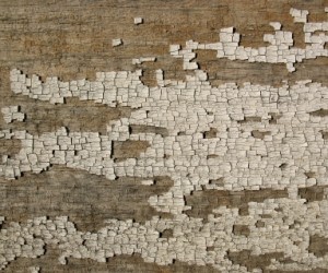77+ Great Free Wood Textures