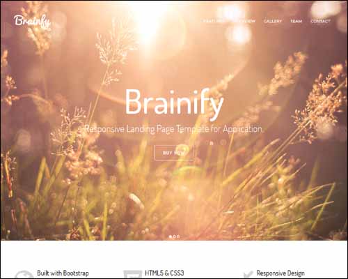 94+ Amazing Bootstrap Landing Page Templates 2014