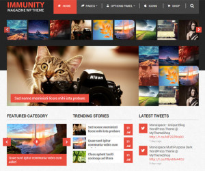 29+ Modern Magazine WordPress Themes 2014