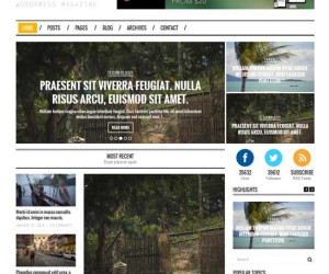 74+ Attractive Responsive Magazine News WordPress Themes