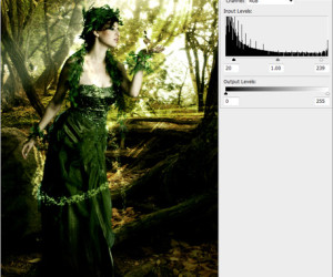 Amazing Tutorial on Creating a Forest Magical Scene in Photoshop