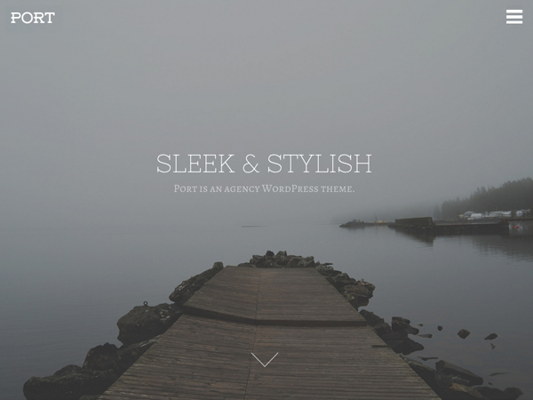 24+ Modern WordPress Parallax Templates 2014