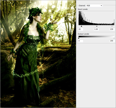 Amazing Tutorial on Creating a Forest Magical Scene in Photoshop