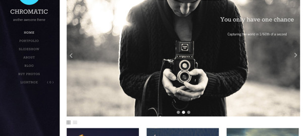 WordPress Photography Themes 2014